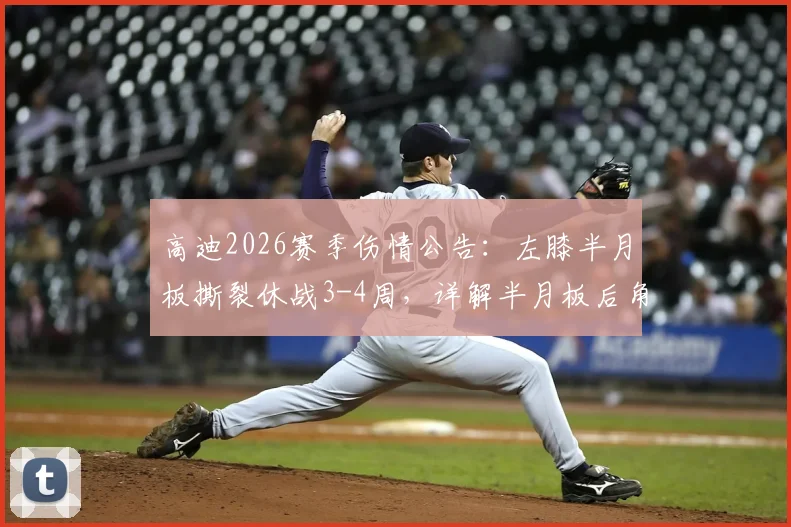 高迪2026赛季伤情公告：左膝半月板撕裂休战3-4周，详解半月板后角撕裂严重性及对浙江队影响